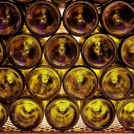 Turisticna Kmetija Hlebec * Kog